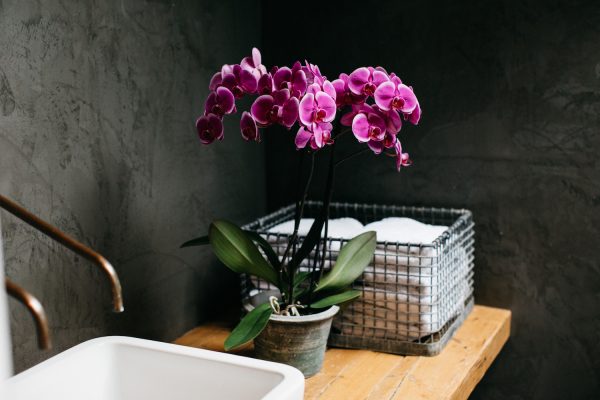 badkamer met orchidee planten Durban 02