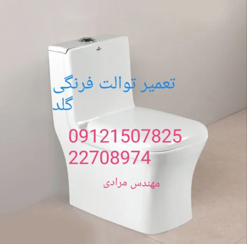 نمایندگی گلد ۰۹۱۲۱۵۰۷۸۲۵_ تعمیر و خدمات توالت فرنگی گلد gold